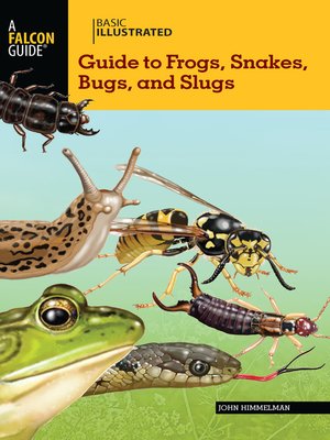 cover image of Basic Illustrated Guide to Frogs, Snakes, Bugs, and Slugs